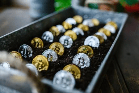 Por que certos criptoativos ganham tanta atenção em pouco tempo