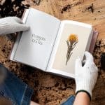 Publicação antiga com uma listagem de plantas: O que é e exemplos