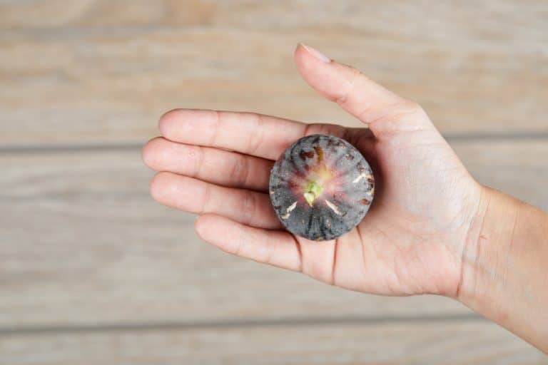 Pedra Semi Preciosa com Duas Camadas de Cores