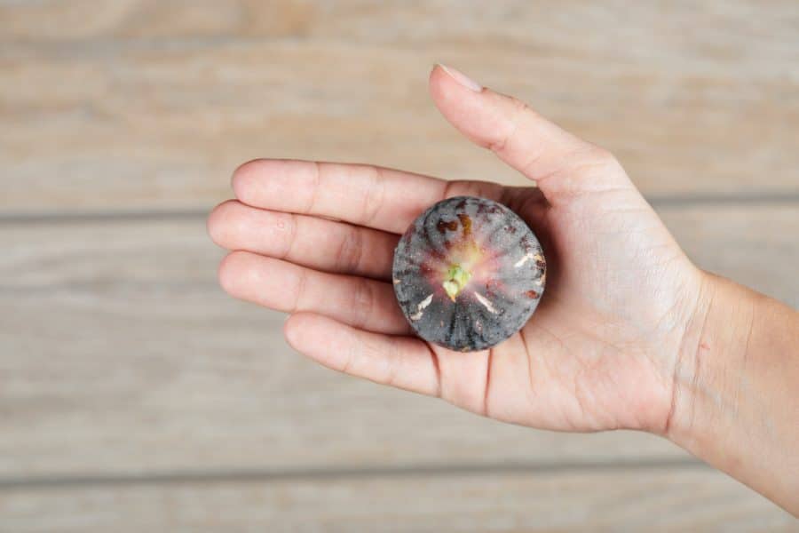 Pedra Semi Preciosa com Duas Camadas de Cores